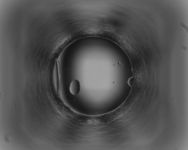 X0000093450591200710121356