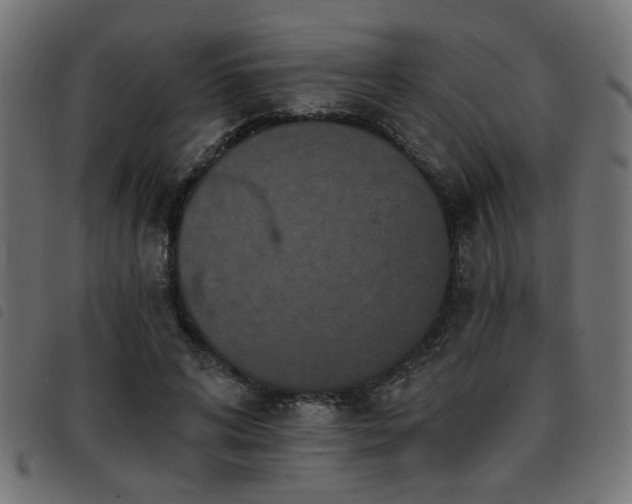 X0000093450592200710121356