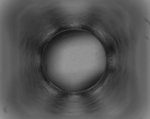 X0000093450593200710121356
