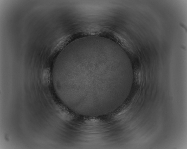 X0000093450594200710121356