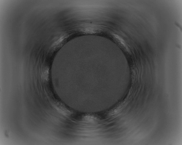 X0000093450596200710121356