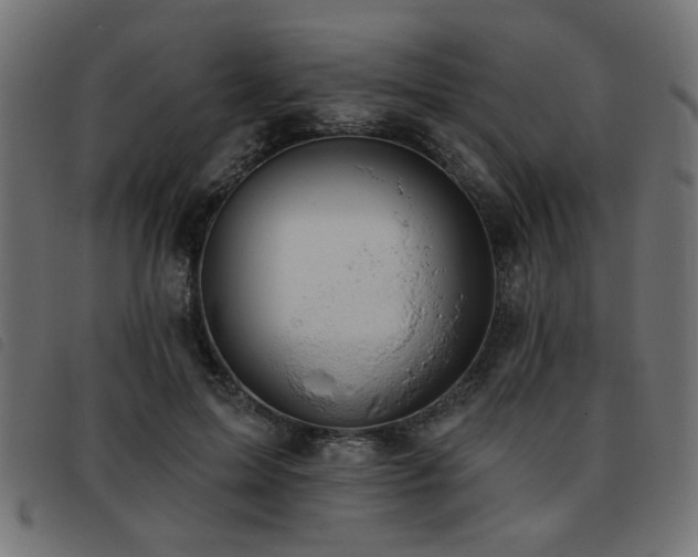 X0000093450599200710121355