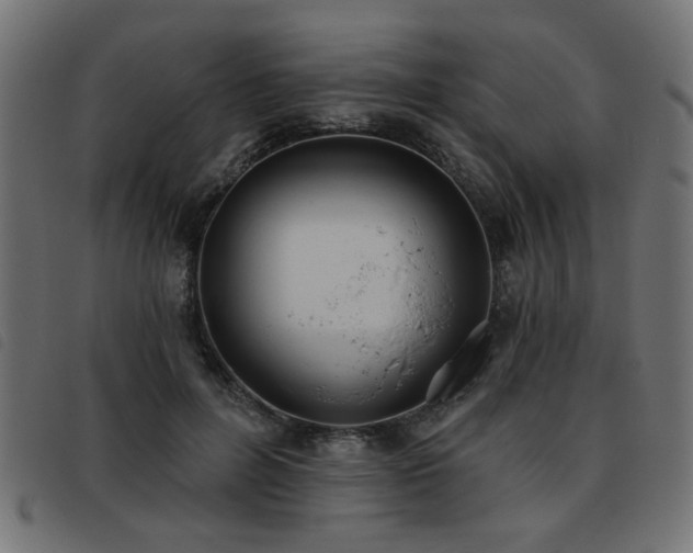 X0000093450600200710121355