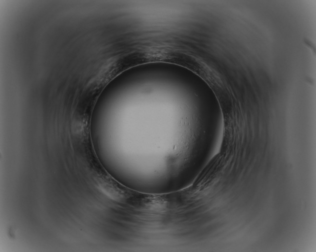 X0000093450601200710121355