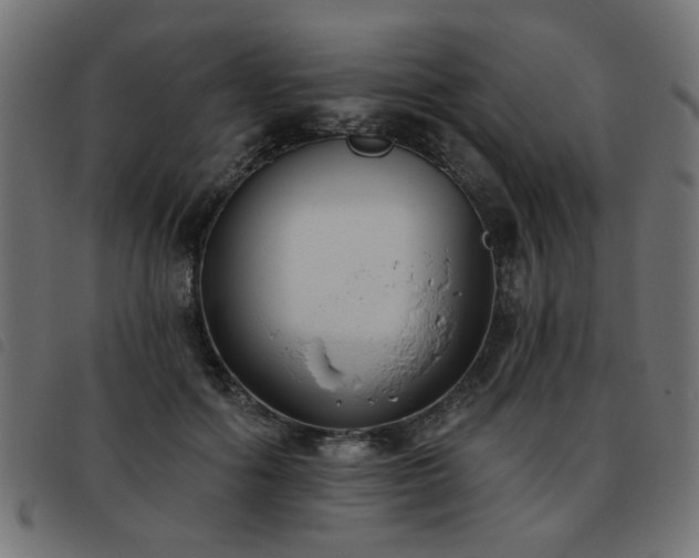 X0000093450602200710121355