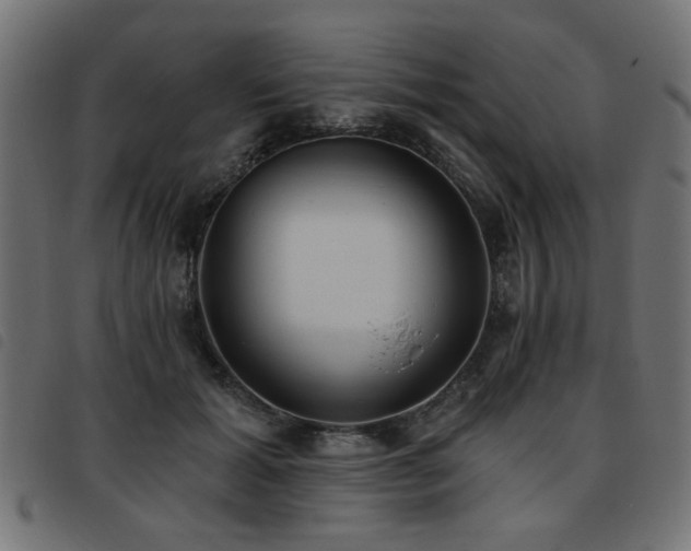 X0000093450605200710121355