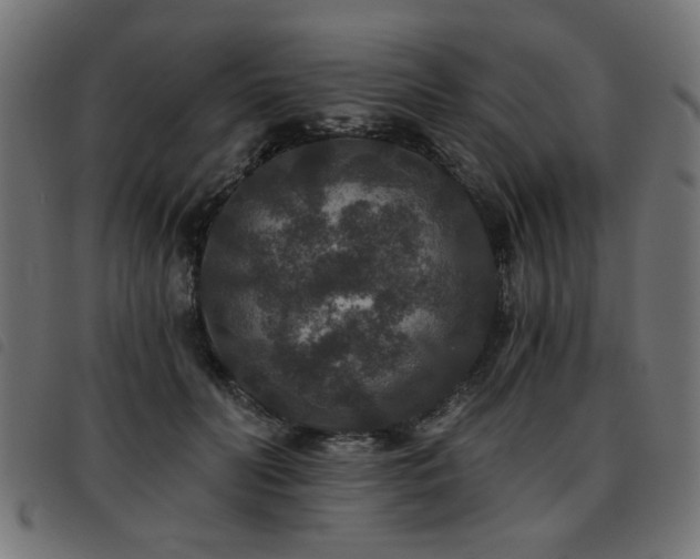 X0000093450606200710121355