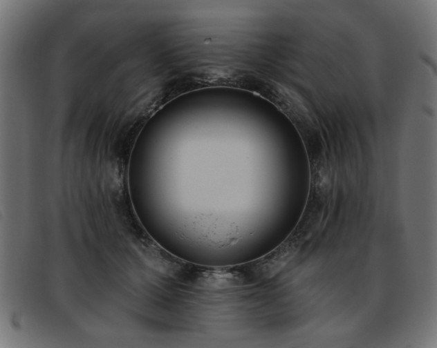X0000093450607200710121355