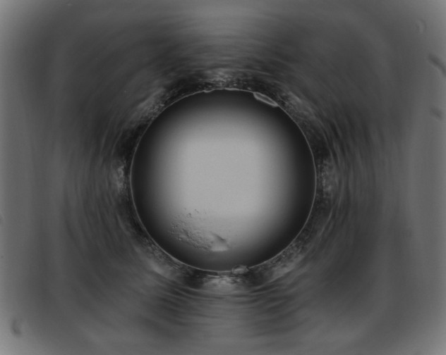 X0000093450611200710121355