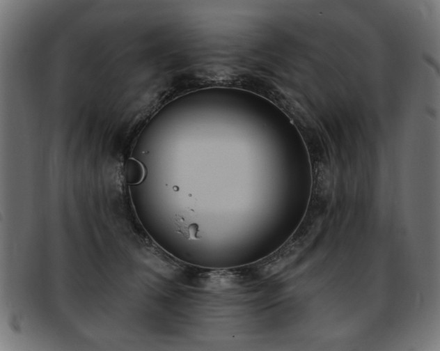 X0000093450612200710121355