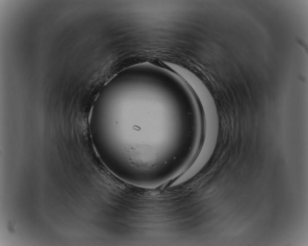 X0000093450613200710121355