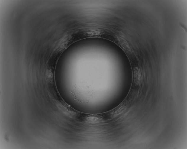 X0000093450614200710121355