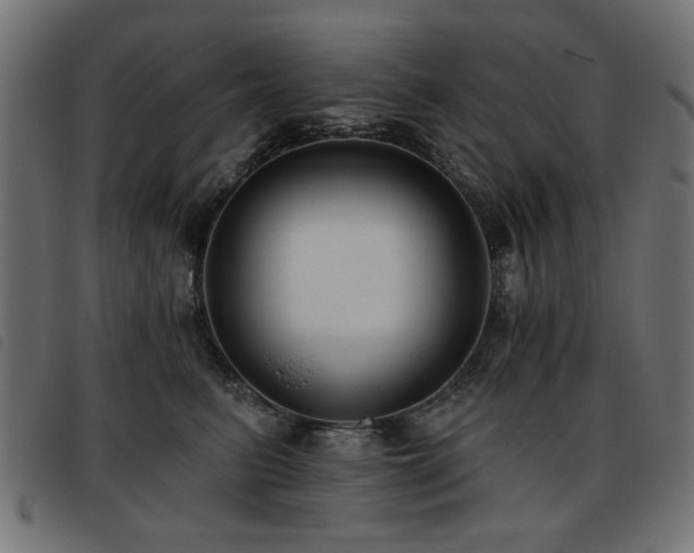 X0000093450615200710121355
