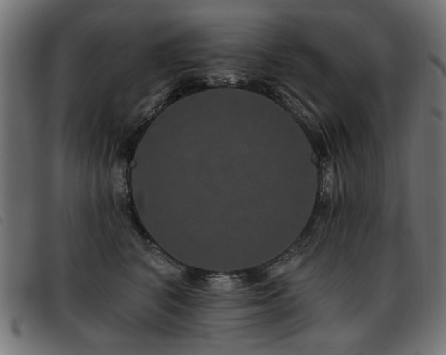 X0000093450616200710121355