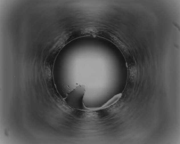 X0000093450617200710121355