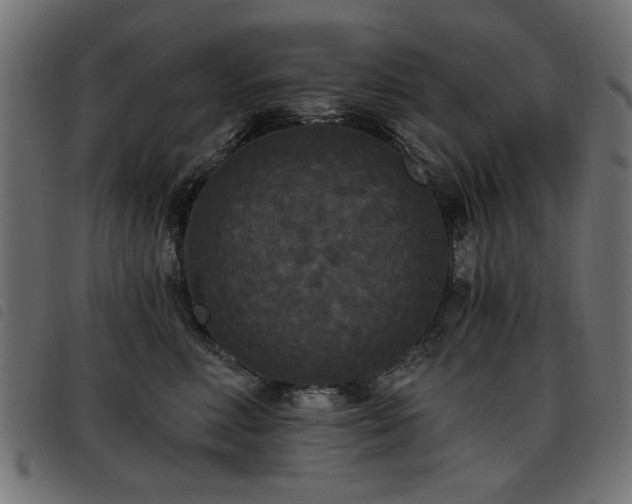 X0000093450618200710121355