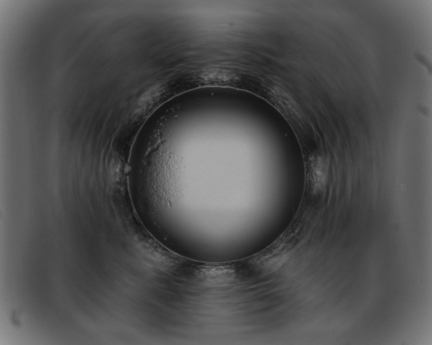 X0000093450619200710121355