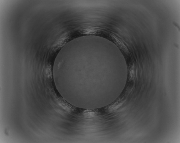 X0000093450620200710121355