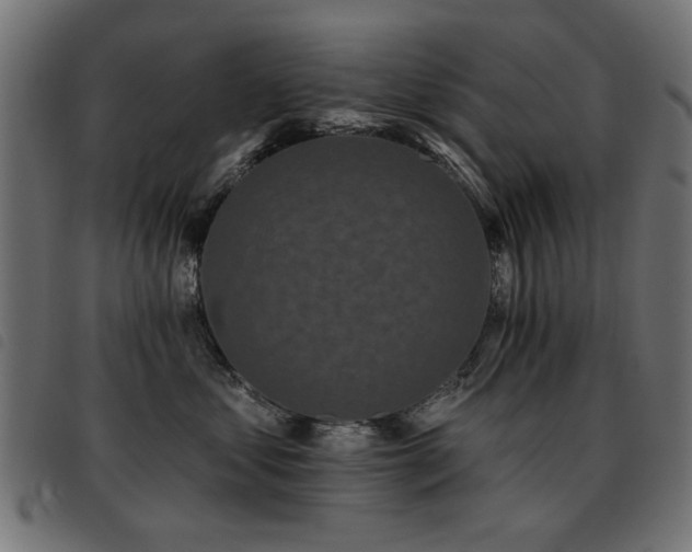 X0000093450621200710121355