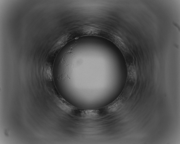 X0000093450622200710121355