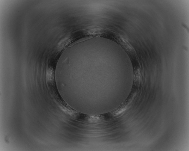X0000093450623200710121355
