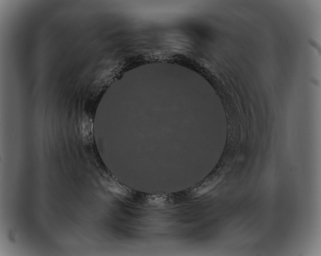 X0000093450624200710121355