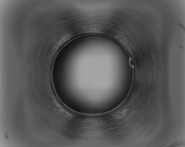X0000093450625200710121354