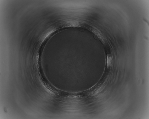 X0000093450627200710121355
