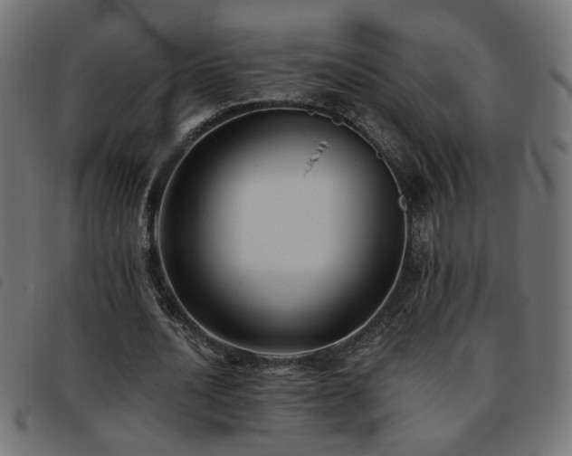 X0000093450628200710121355