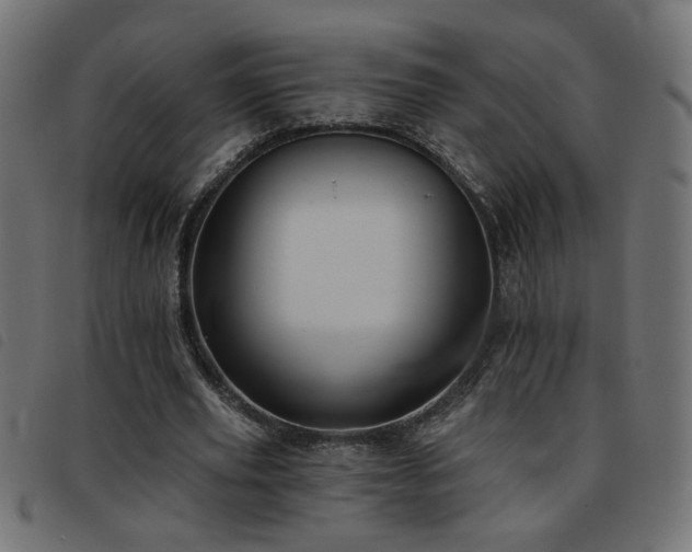 X0000093450629200710121355