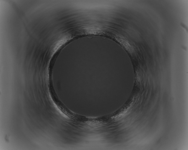 X0000093450630200710121355