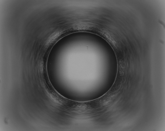 X0000093450631200710121355