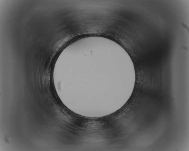 X0000093450632200710121355