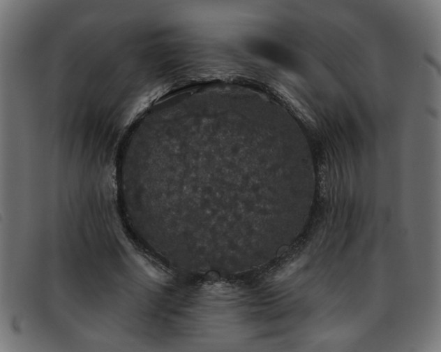X0000093450634200710121355