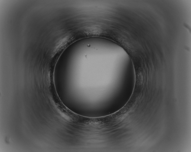 X0000093450638200710121355