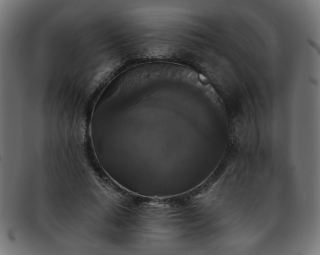 X0000093450640200710121355