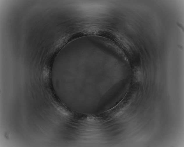 X0000093450641200710121355