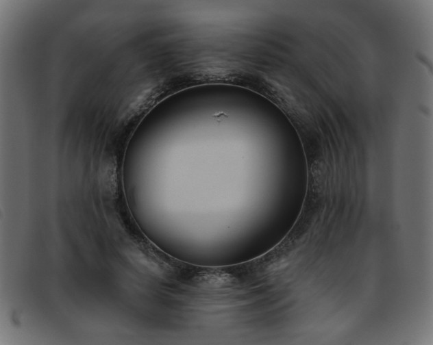 X0000093450642200710121355
