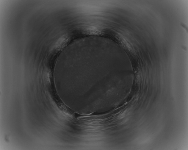 X0000093450643200710121355