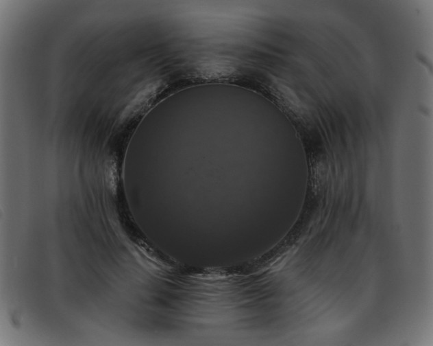X0000093450644200710121355
