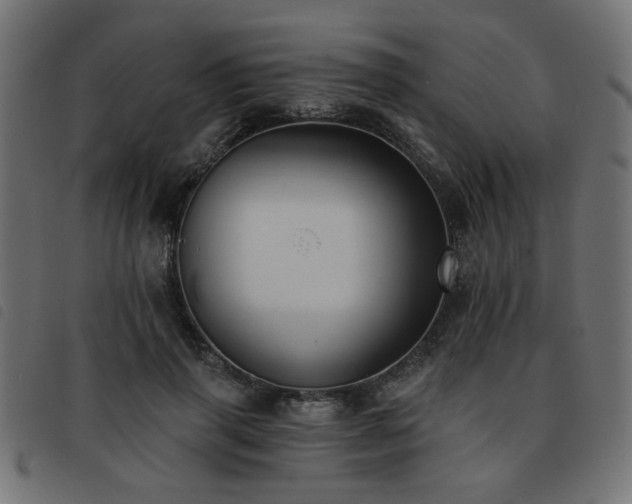 X0000093450645200710121355