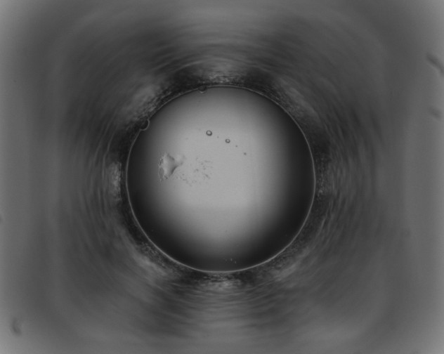 X0000093450646200710121355