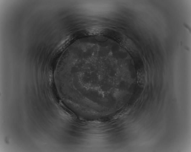 X0000093450648200710121355