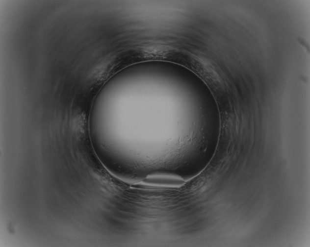 X0000093450649200710121355