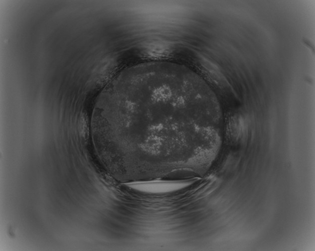 X0000093450651200710121355