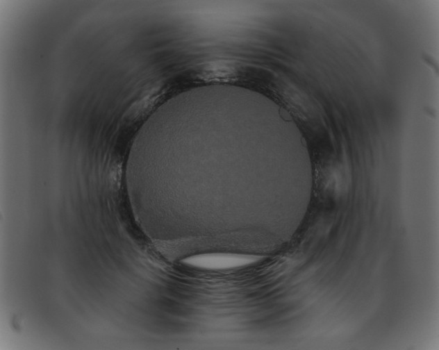 X0000093450652200710121355