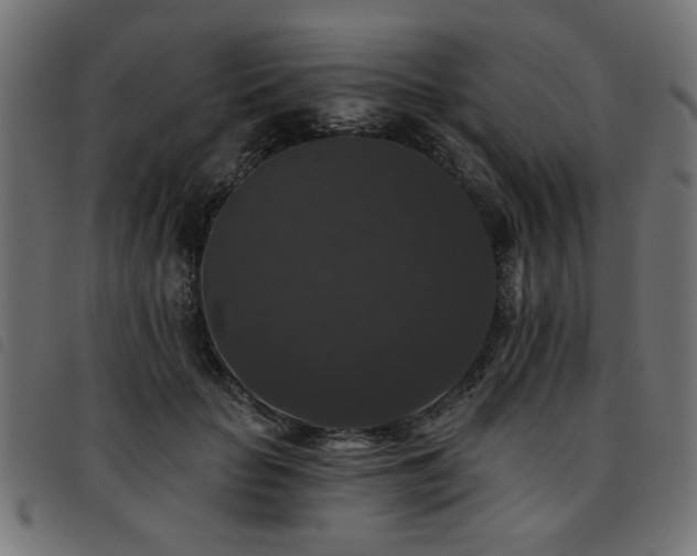 X0000093450653200710121355