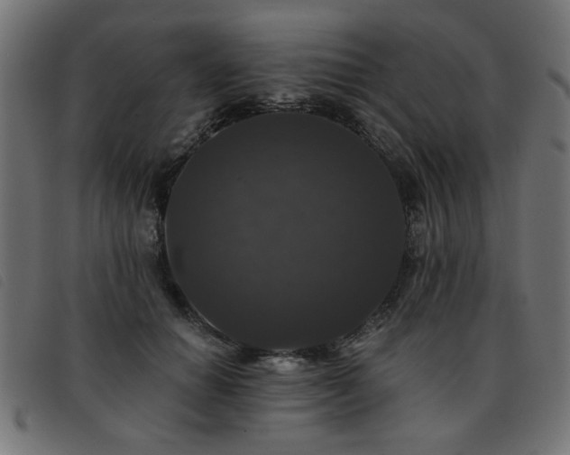 X0000093450654200710121355
