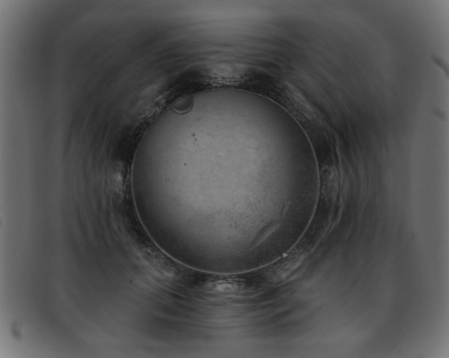 X0000093450655200710121355