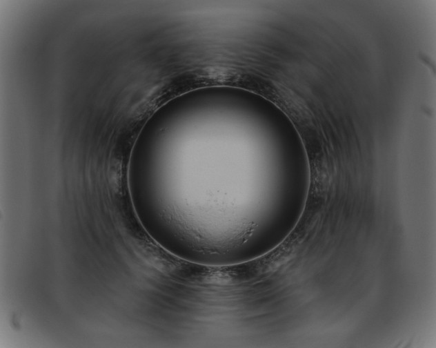 X0000093450656200710121355